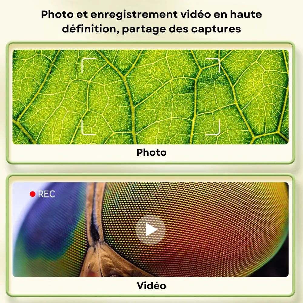 Microscope Numérique